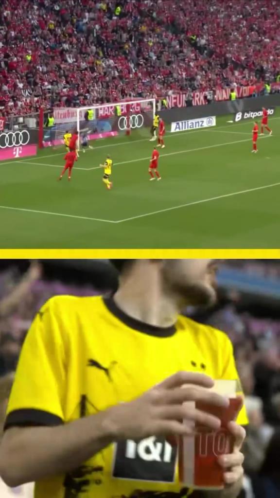 勇者無(wú)懼！這是真多特球迷！在拜仁球迷區(qū)一個(gè)人肆意慶祝！